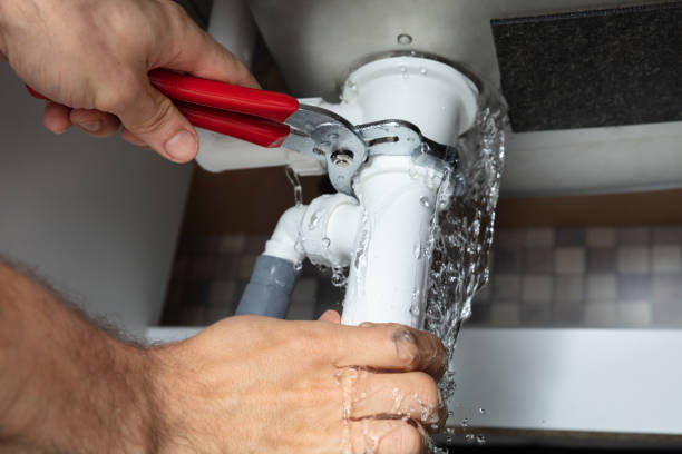 Best Water damage restoration near me  in Laupahoehoe, HI