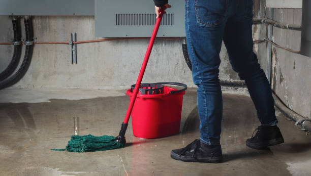 Best Water damage restoration mold remediation  in Laupahoehoe, HI