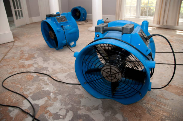 Laupahoehoe, HI Water damage restoration Pros