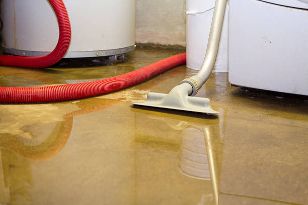 Best Local water damage restoration  in Laupahoehoe, HI