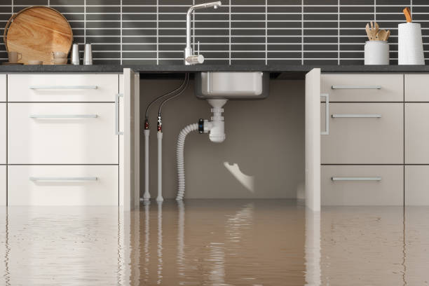 Best Commercial water damage restoration  in Laupahoehoe, HI