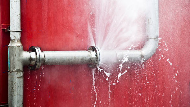 Best Water damage cleanup near me  in Laupahoehoe, HI